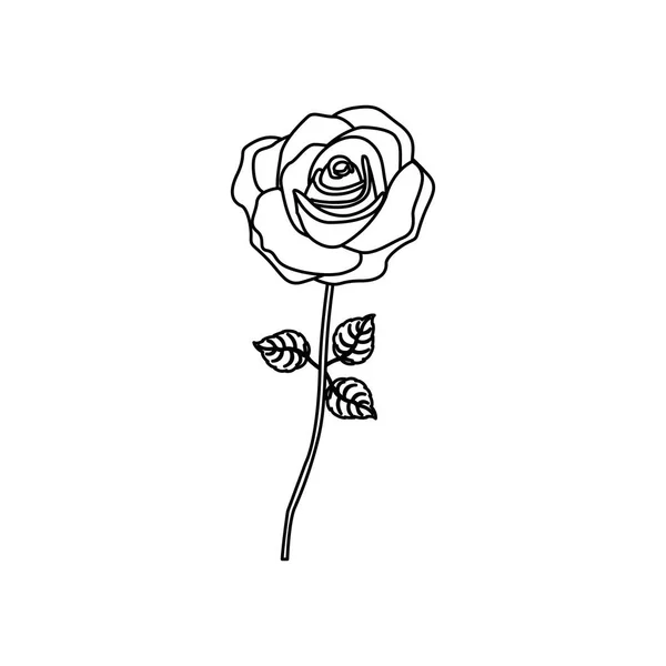 Silhouette rose med stam och blad blommönster — Stock vektor