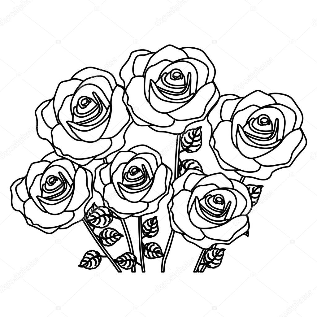 silhouette bouquet roses floral design