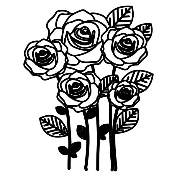 Figuur veel rozen met ovale bloemblaadjes pictogram — Stockvector