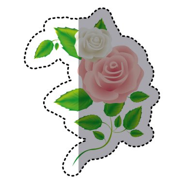 rengi gül Dörtköşe yaprakları ve yaprakları simgesi olan