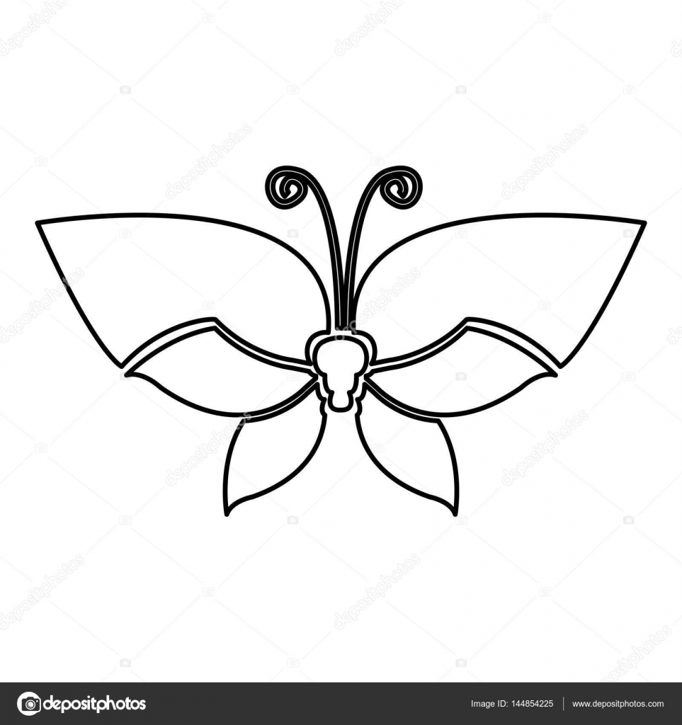 Skrzydła Motyla Rysunek Z Tricolor Ikona Grafika