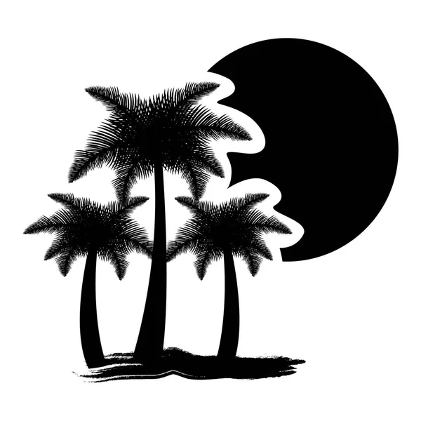 Donkere contour palmen met zon pictogram — Stockvector