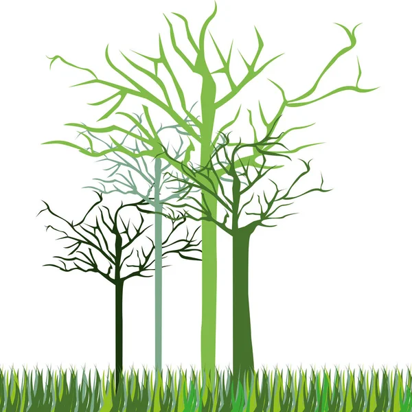 Blattlose grüne Bäume — Stockvektor