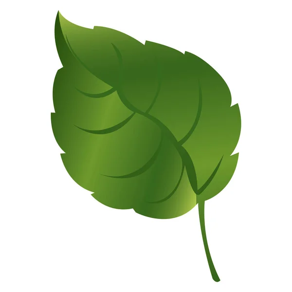 Folha verde realista com ícone de natureza ramo —  Vetores de Stock