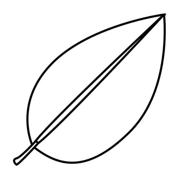 Figure tree leaf icon — Stock Vector