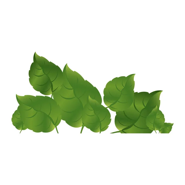 Green leaves together icon — Stock Vector