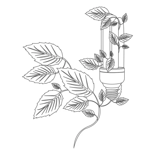 Contour en niveaux de gris avec ampoule fluorescente et plante rampante — Image vectorielle