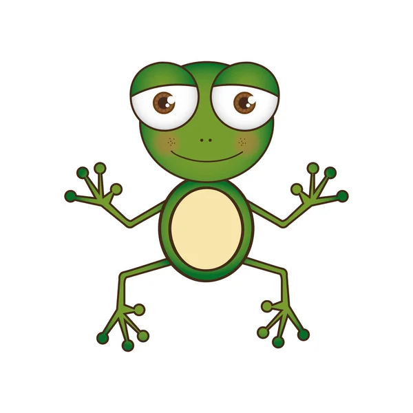 Renkli resim karikatür sevimli kurbağa amfibi — Stok Vektör
