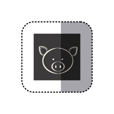 domuz yüzü ile siyah arka plan kare etiket