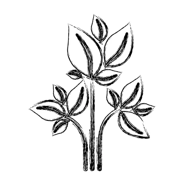 Ескіз силует рослини з гілкою і листям — стоковий вектор