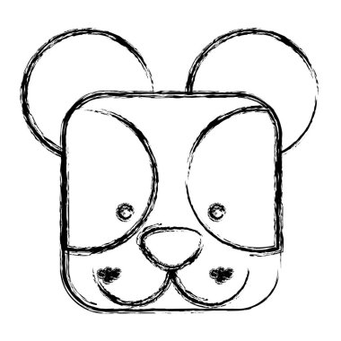 şekil kare ayı yüz hayvan