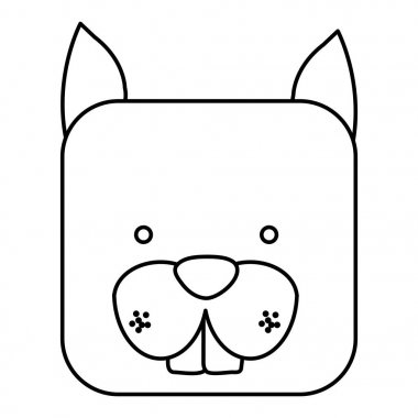 sevimli sincap hayvan kafa ifade