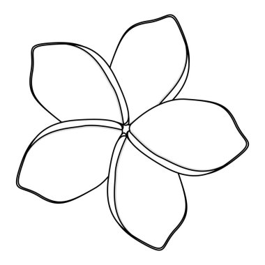 siluet çiçek oval şekilli yaprakları ile