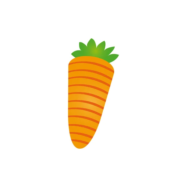 Colorido silueta zanahoria vegetal alimentos — Vector de stock