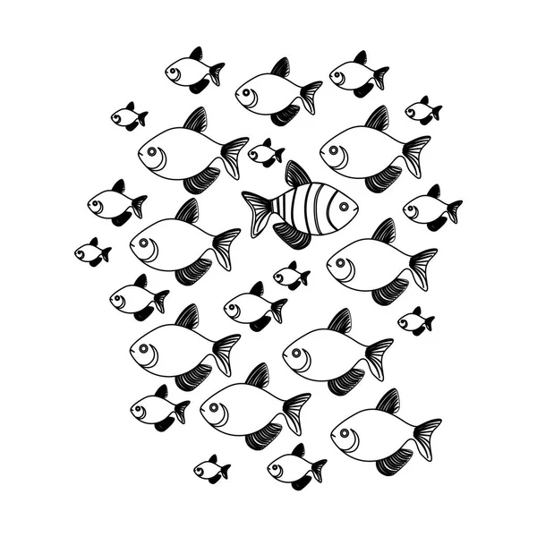 Silhouet instellen collectie vis aquatische dieren met anemoonvis — Stockvector