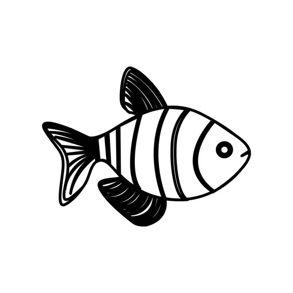 Silhouette clownfish aquatic animal icon — Stock Vector