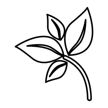 Şube düz yaprakları simgesiyle silüeti