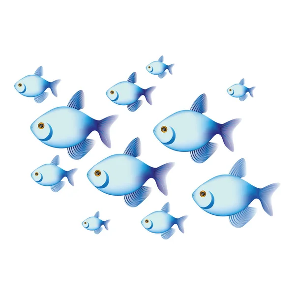 Colección colorido conjunto de peces animales acuáticos — Vector de stock