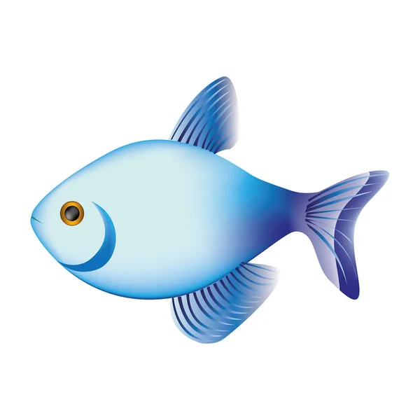 Renkli balık suda yaşayan hayvan simgesi — Stok Vektör