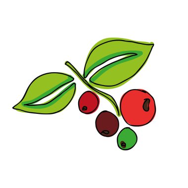 siluet renk el ile kahve ağacı dalı tahıllar ile çekilmiş