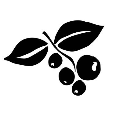 siyah siluet el ile kahve ağacı dalı tahıllar ile çekilmiş