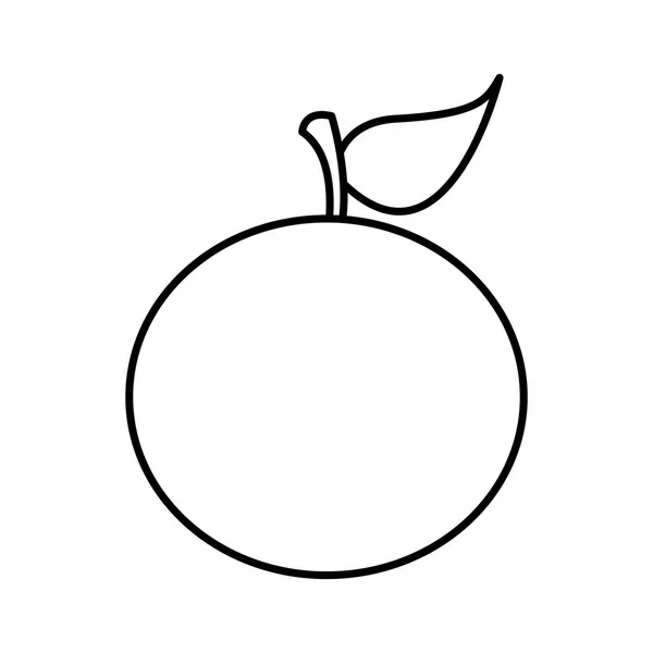Силуэт иконы апельсиновых фруктов — стоковый вектор