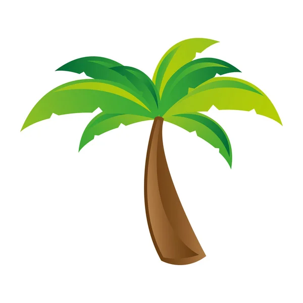 Beyaz arka plan ile palmiye ağacı — Stok Vektör