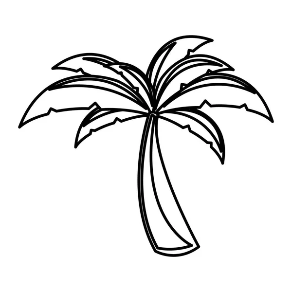 White background with monochrome palm tree — Stock Vector