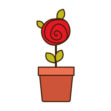Renkli çizimi ile kırmızı gül yaprakları ve kök saksının içinde
