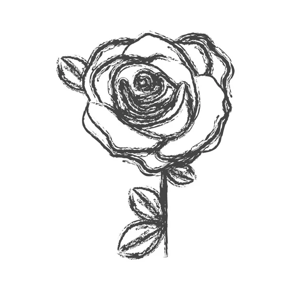 Suddig siluett skiss blommade ros med blad och stam — Stock vektor