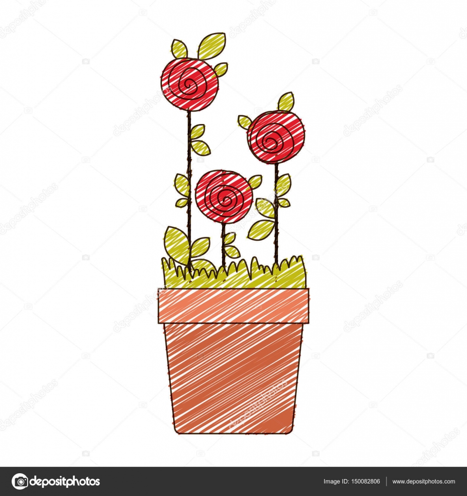Colore disegno a matita di rose piantate con foglie nel vettore di vaso di fiori — Vettoriali di grgroupstock