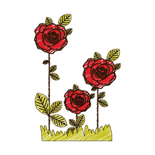 Desenho a lápis de cor de rosas floridas plantadas com folhas e pasto — Vetor de Stock
