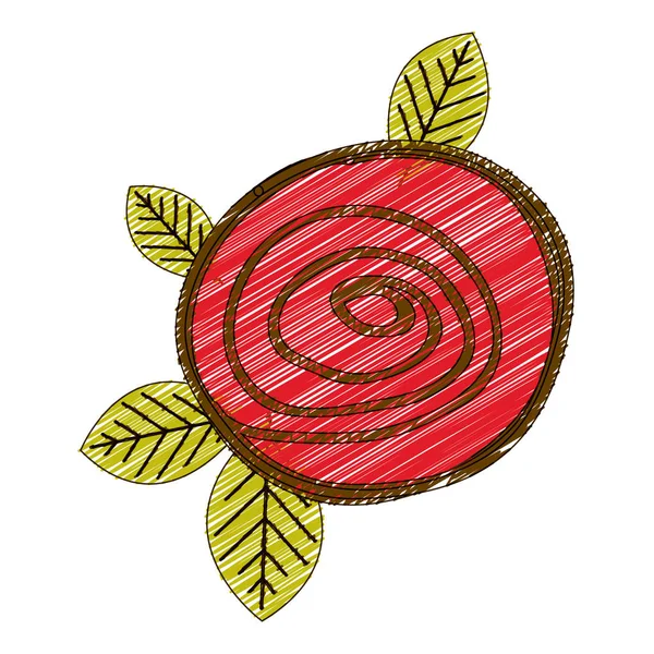 Disegno a matita di colore del pulsante rosa rossa con foglie primo piano — Vettoriale Stock
