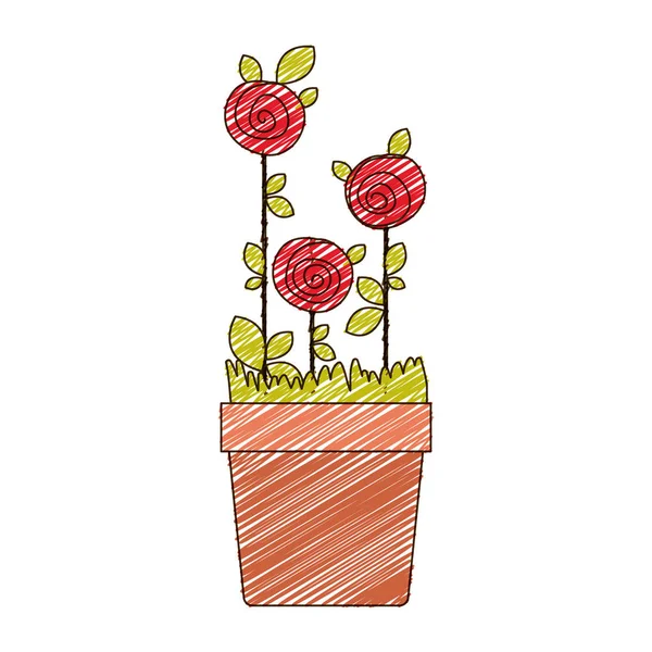Kleur potlood tekening van rozen beplant met bladeren in bloempot — Stockvector