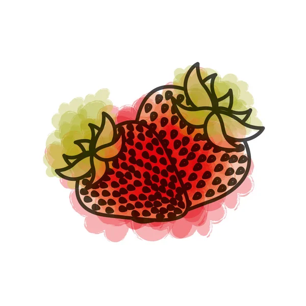 수채화 쌍 딸기 과일의 그림 — 스톡 벡터