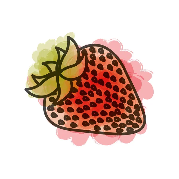 Aquarel tekenen van aardbei-fruit — Stockvector