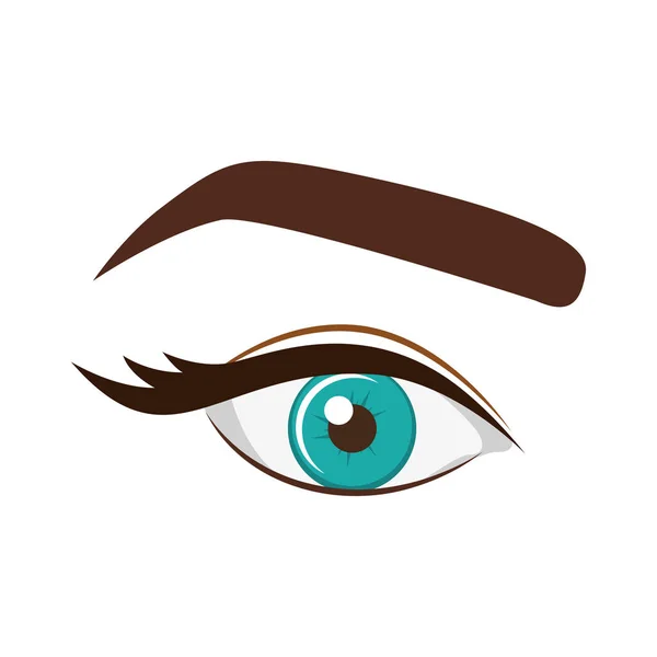 女性青い目と眉 — ストックベクタ