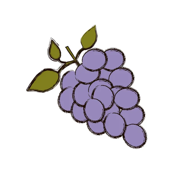 Color silueta borrosa de racimo de uvas — Vector de stock