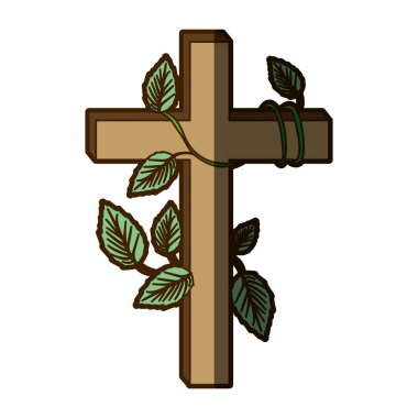 tahta haç ve sarmaşık bitki ve gölge ile beyaz arka plan