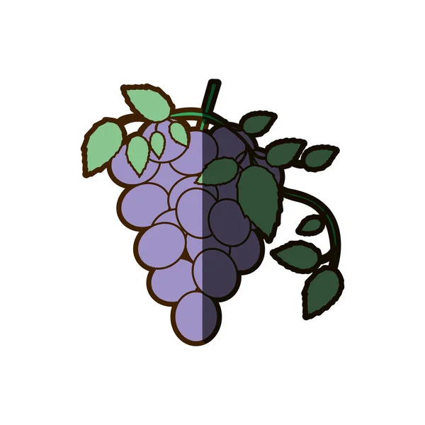 Fondo blanco con racimo de uvas icono con sombra — Vector de stock