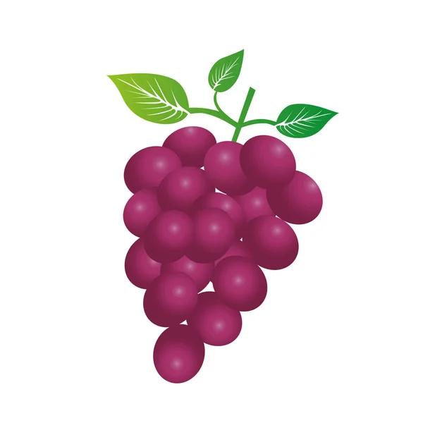 Silhouette colorata di grappolo d'uva — Vettoriale Stock