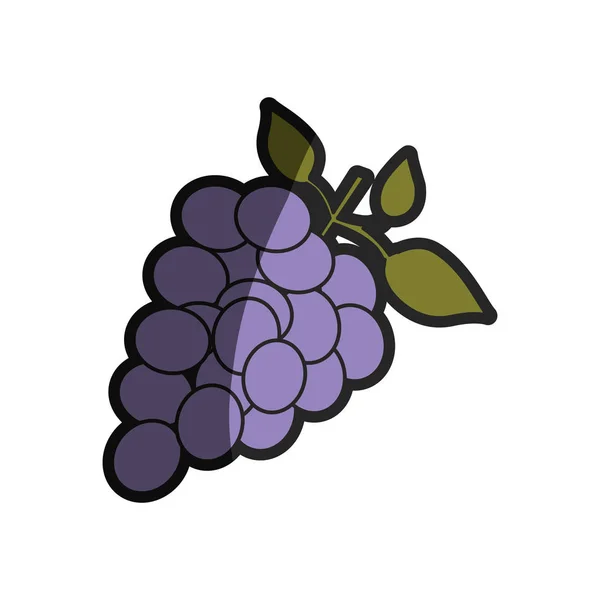 Silueta de color claro de racimo de uvas con media sombra — Vector de stock
