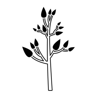 siyah ağacıyla silüeti yapraklar