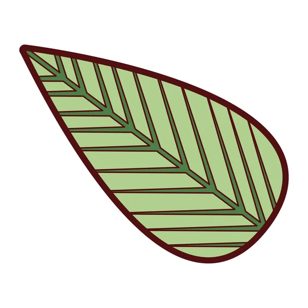 Silhueta grossa colorida da folha da árvore — Vetor de Stock