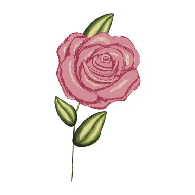 renkli gerçekçi gül yaprakları ve kök ile çiçekli