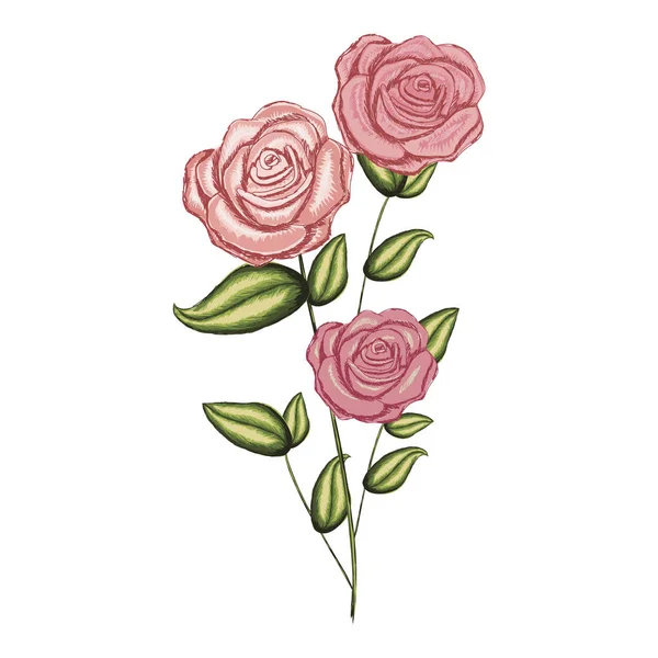 Rose fiorite realistiche colorate con foglie e gambo — Vettoriale Stock