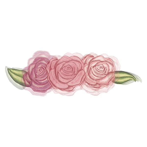 Aquarell Silhouette von Rosen Blume und Blätter mit transparentem Schatten — Stockvektor