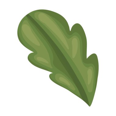 Beyaz arka plan ile pancar yaprağı önden görünümü