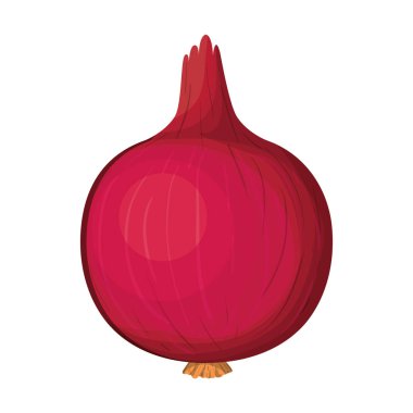 Beyaz arka plan ile kırmızı pancar