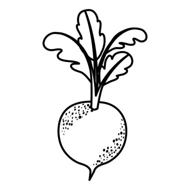 siyah siluet ile pancar kök ve yaprakları